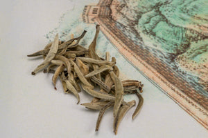 Jasmine YinZhen (Jasmine Silver Needle)